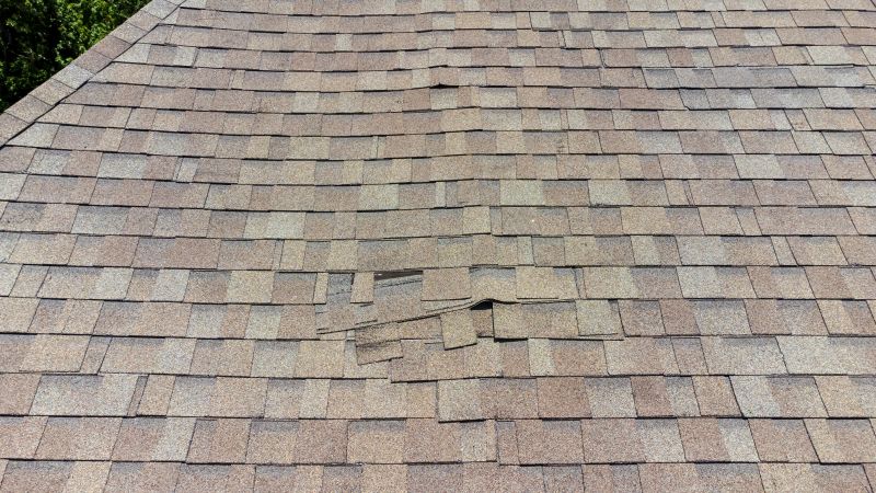 Asphalt Roof Inspection in Orwigsburg, PA