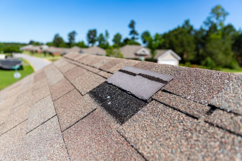 Asphalt Roof Leak Repair in Blakeslee, PA