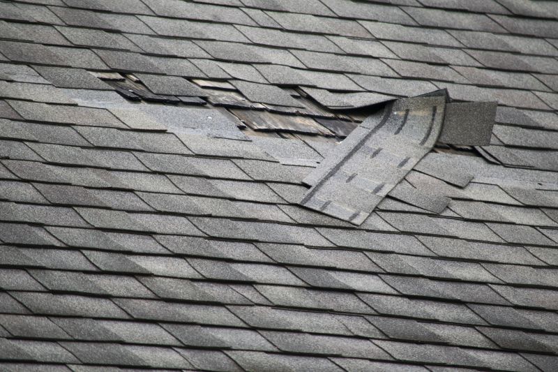 Asphalt Roof Leak Repair in Hazleton, PA