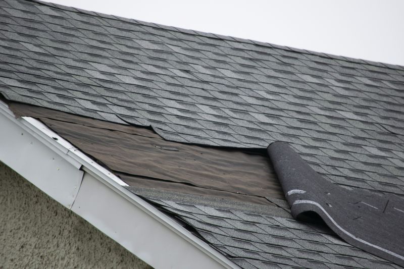 Asphalt Shingles Repair in Saylorsburg, PA