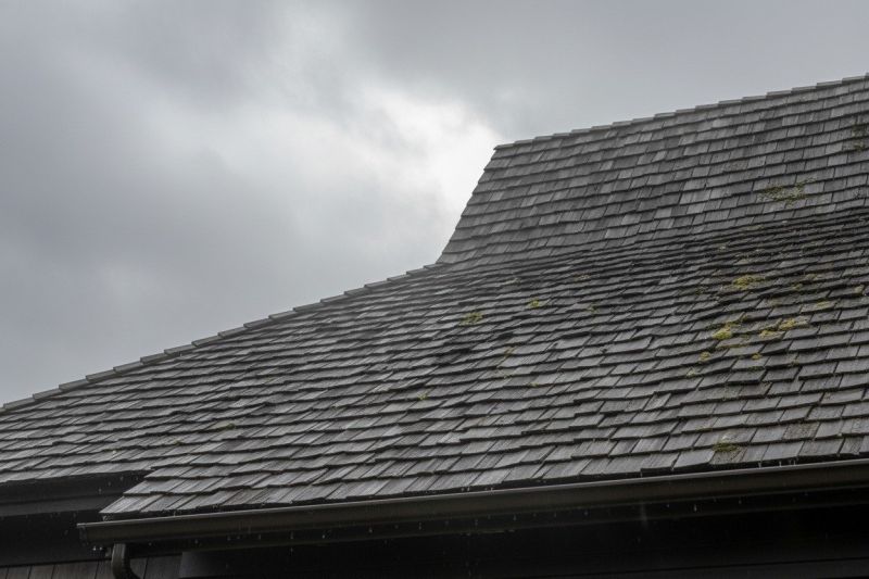 Cedar Shingles Replacement in Jim Thorpe, PA