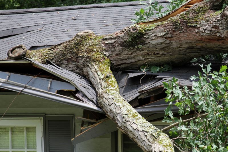 Collapsing Roof Repair in Carbon County, PA