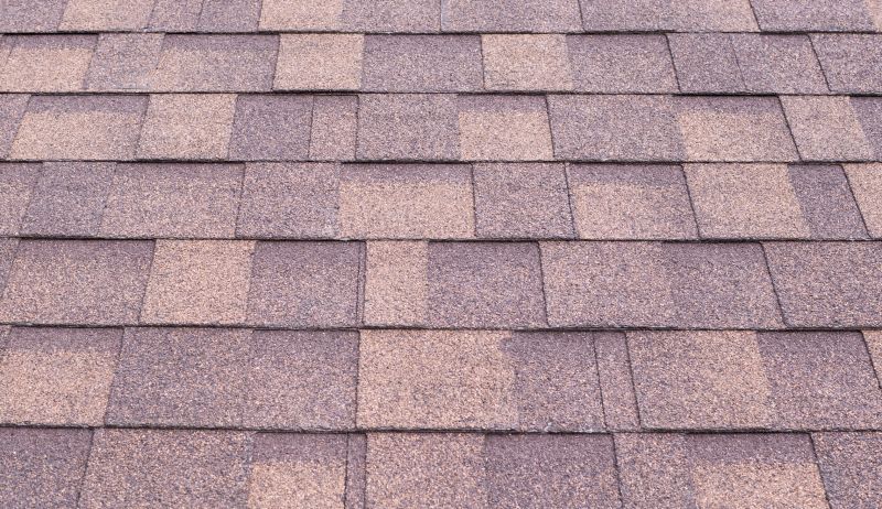 Composite Shingle Repair in Carbon County, PA