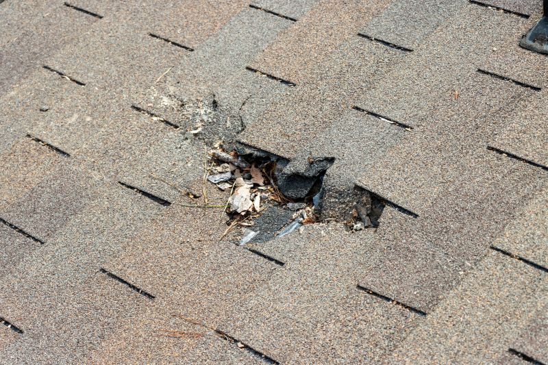 Damaged Roof Replacement in New Ringgold, PA