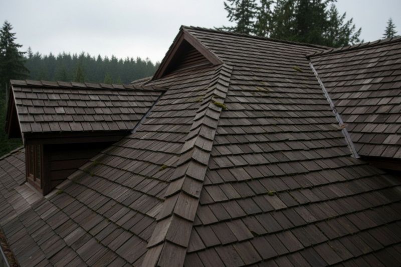 Wood Shake Roof Replacement in Topton, PA